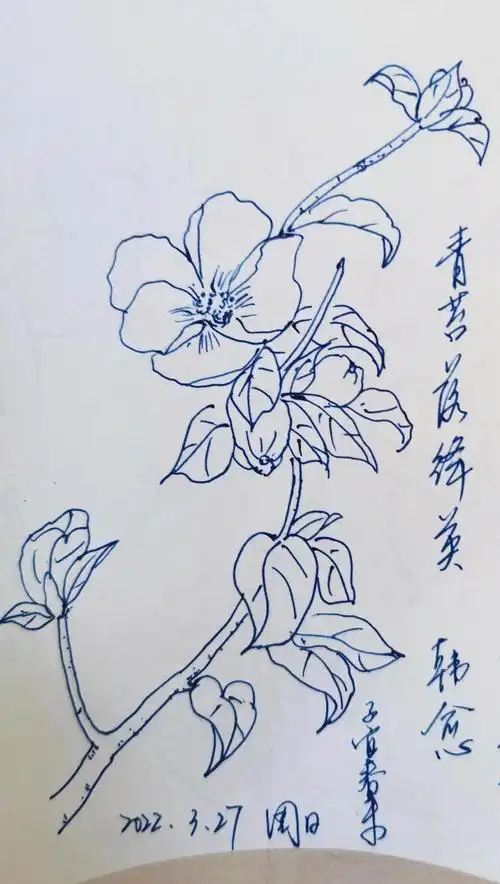 每日一花一诗,画一枝石榴花,题韩愈的诗