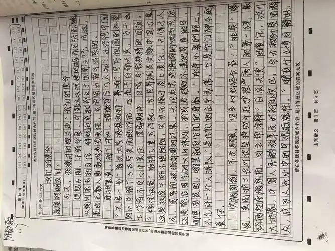 语文:抄写作文《我们的使命》