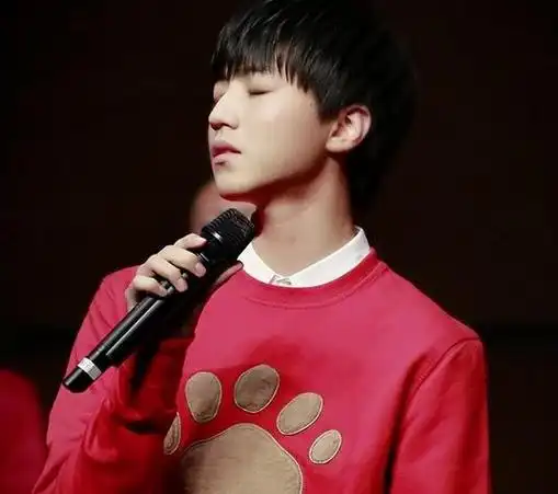 王俊凯:从少年偶像到全能艺人,他到底是如何完成华丽蜕变的?