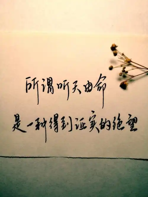 所谓听天由命是一种得到证实的绝望