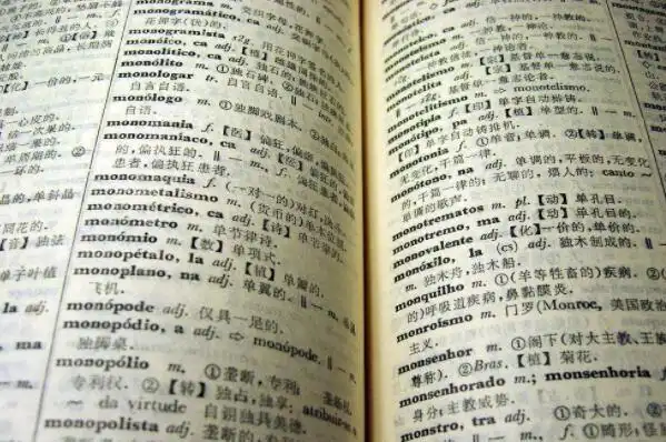 巴西,安哥拉,莫桑比克,东帝汶在内的10个国家定为官方语言或通用语言