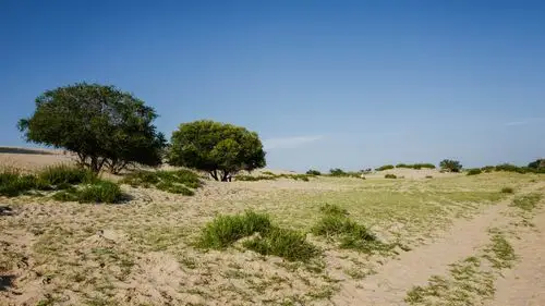 愿带你走进最"热"的草原