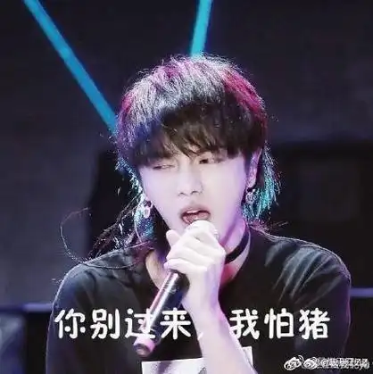 华晨宇表情包多图预警持续更新