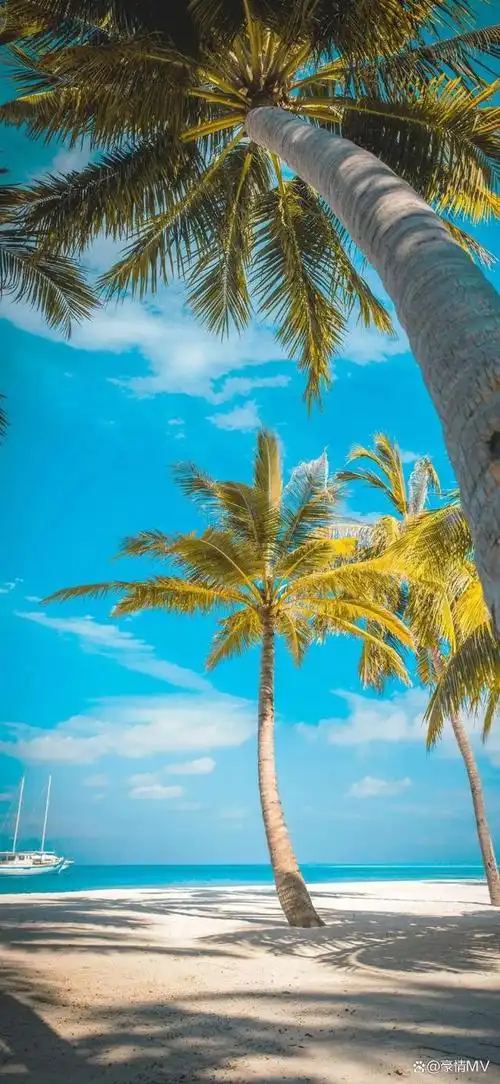 碧海蓝天竖屏壁纸超清_海边超唯美手机壁纸图片