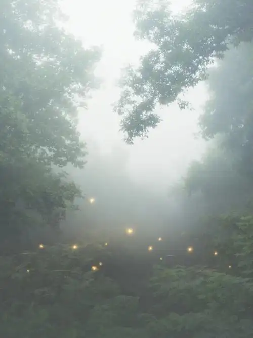 摄影作品分享梦中