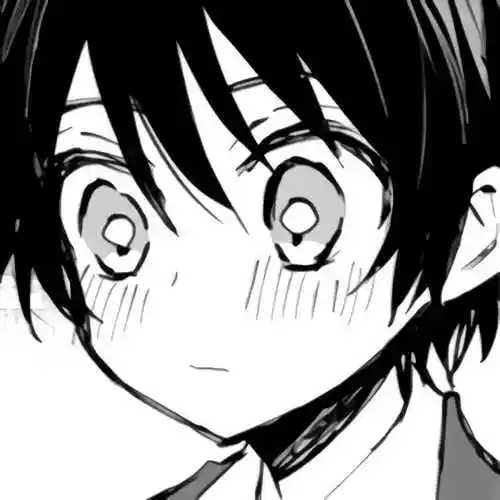 黑白动漫男头侵删