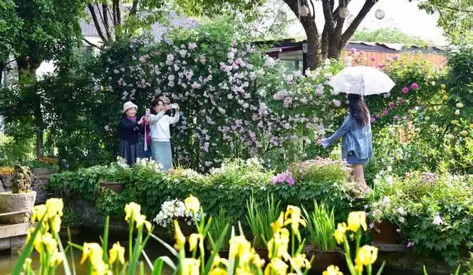 多多花园,花样多多,游客多多,多多美好.无锡锡山区锡北镇.