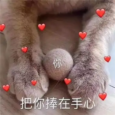 情侣之间可以调戏的表情情侣之间的互动羞羞表情合集