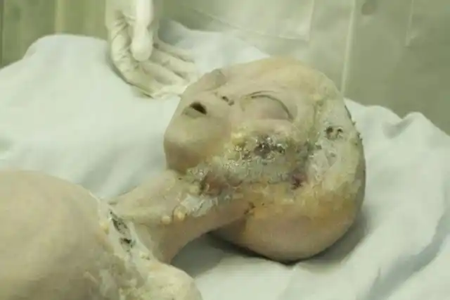 这些外星人的照片是真的?你真相信外星人存在吗?