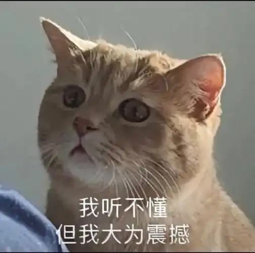 我听不懂但我大为震撼猫猫表情包猫猫听不懂表情