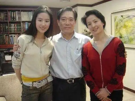 刘亦菲母亲刘晓丽个人简介(最强星妈刘晓莉)(6)