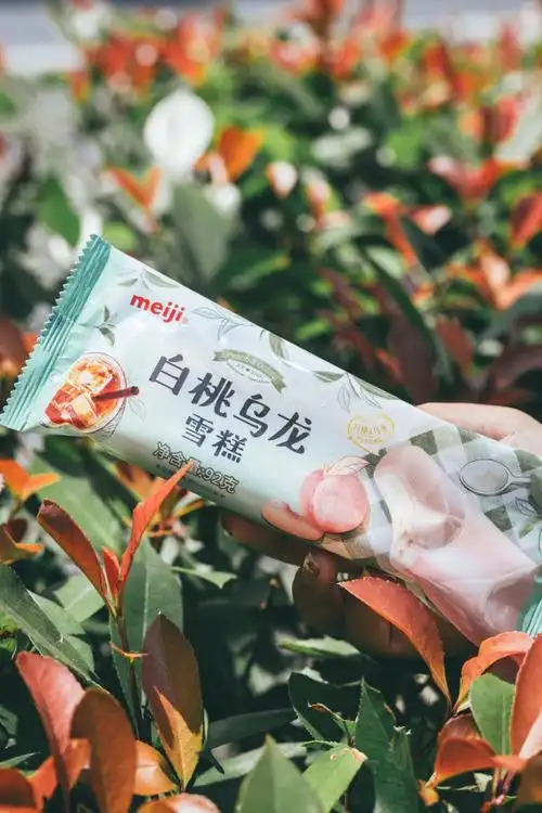 5.明治 白桃乌龙雪糕 参考价:10.2元