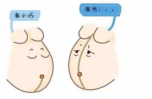 怀孕了肚子没黑线正常吗?_孕妇_颜色_胎儿