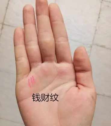 钱财纹越多,代表这类人的财运越旺盛,能够聚集到自己手中的钱财也是越