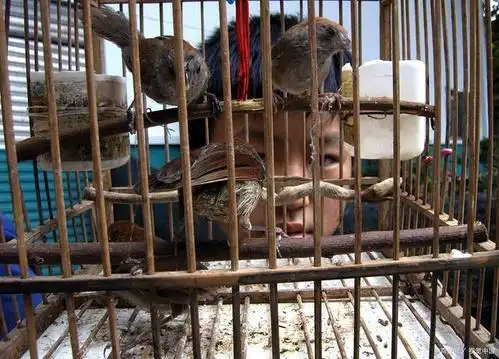 得饶人处且饶人