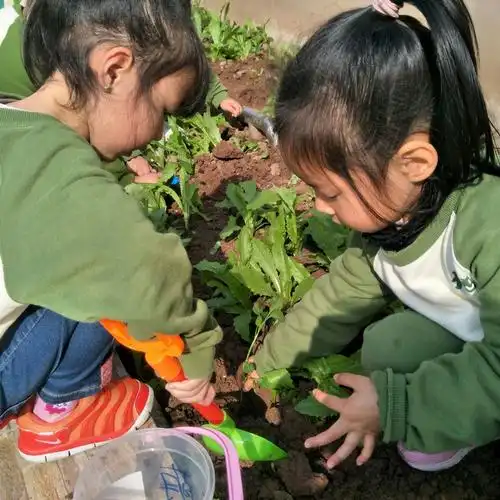 大地幼儿园中一班3月种植活动–《同蔬菜宝宝一起成长》体验成长中的