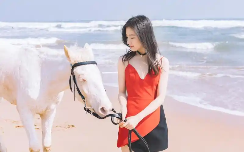 李兰迪浪漫海边写真桌面壁纸