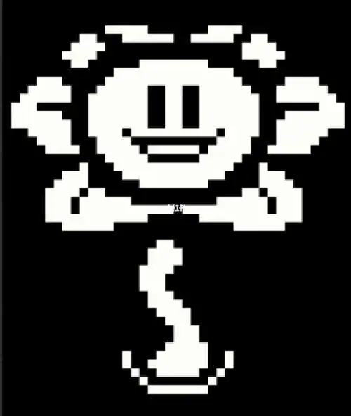 小花flowey