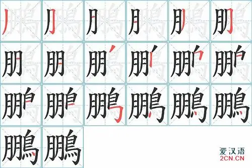 鵬字的笔顺图