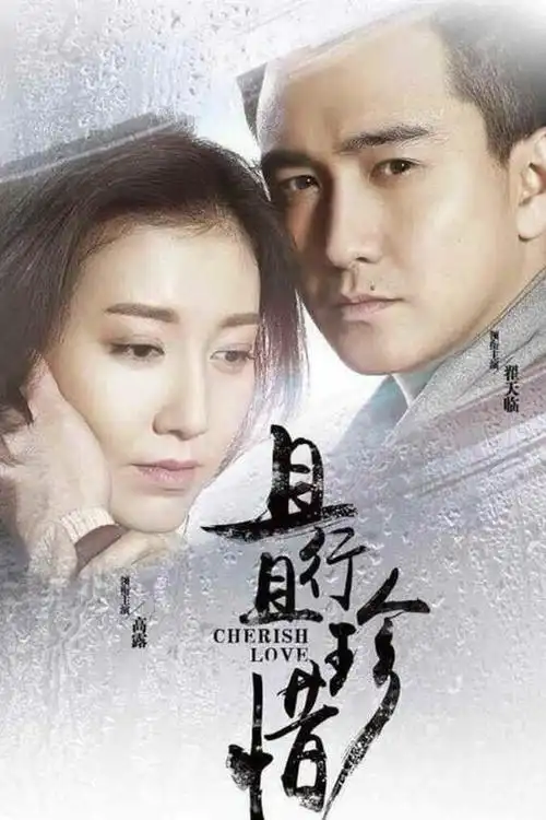 且行且珍惜剧情介绍(1-38全集)大结局__电视剧_剧情吧