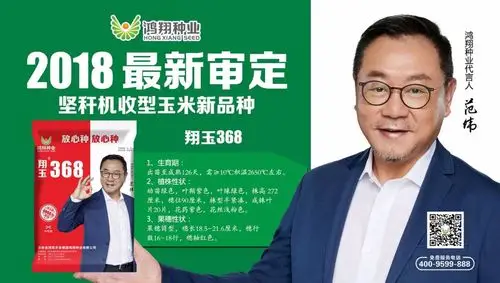 坚秆机收 矮秆耐密 纯角质粮  新品种 新方向 引领农业新方向 翔玉368