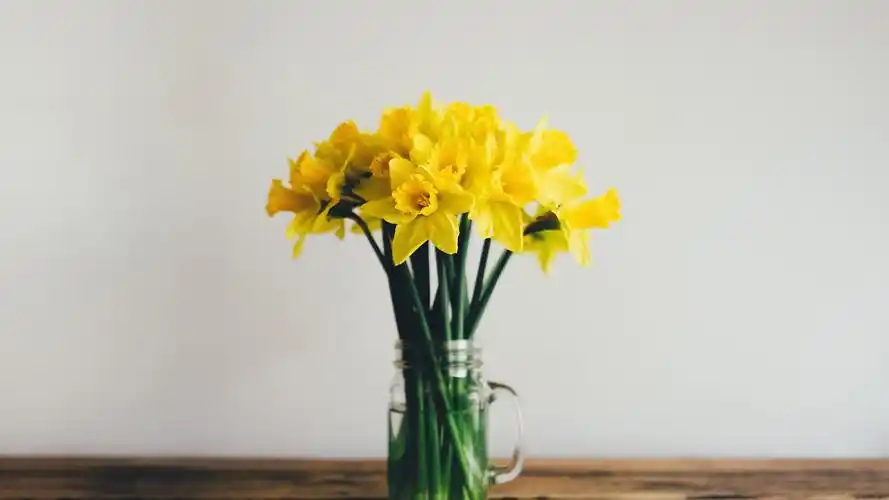 文艺插花图片高清电脑桌面壁纸分辨率1920x1200