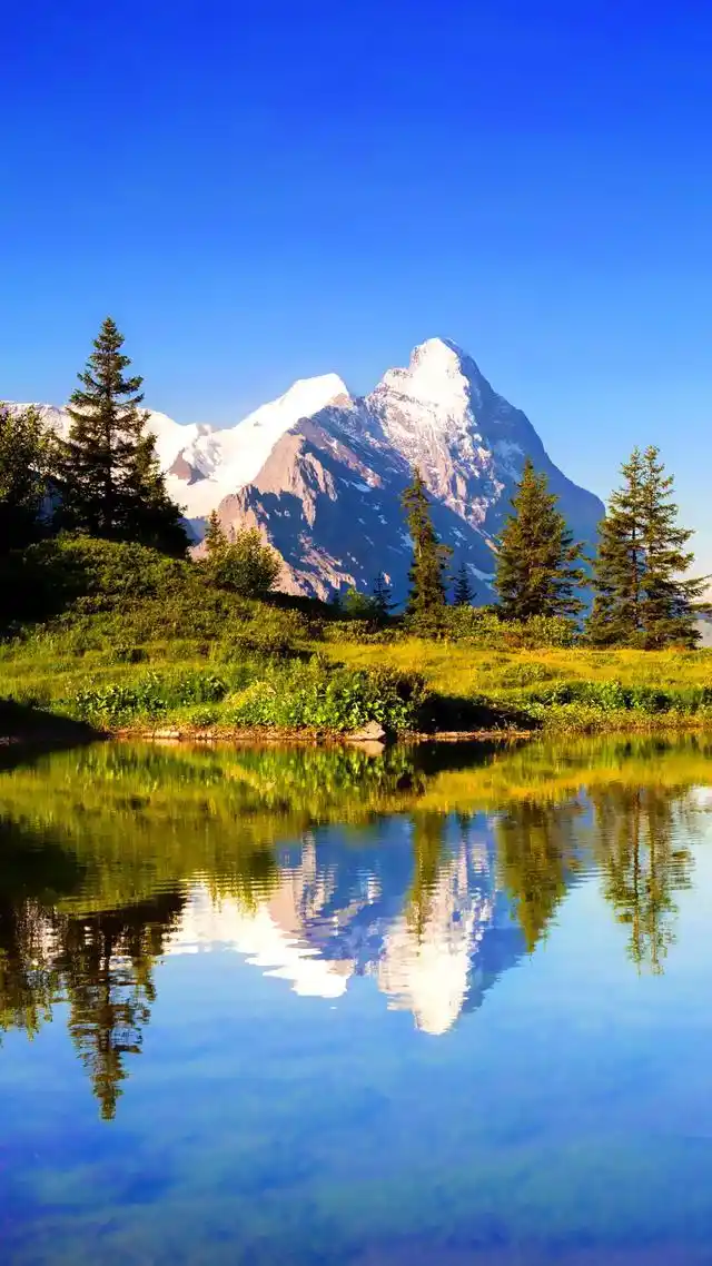 壁纸解读丨看最美的风景,开最好的汽车