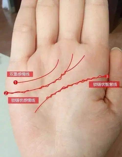 女人的手纹特别乱有什么预示?|生命线|手纹|掌纹_新浪新闻