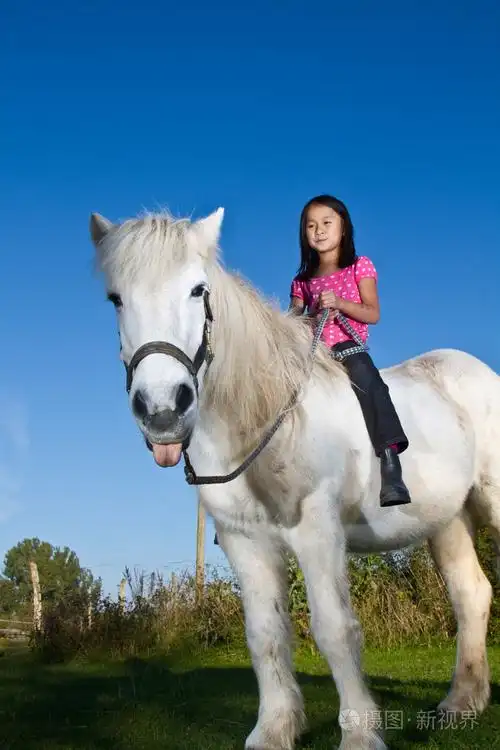 骑一匹白马的女孩