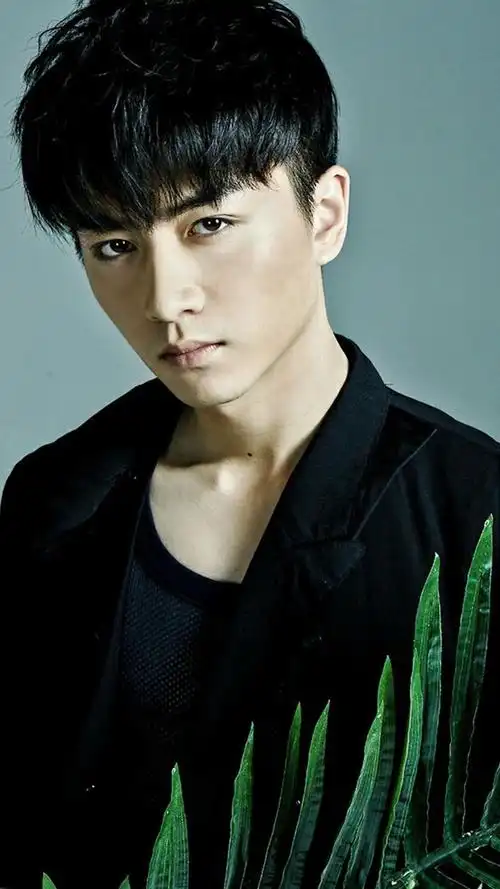 帅气型男陈晓时尚写真,高清图片,手机锁屏桌面-壁纸族