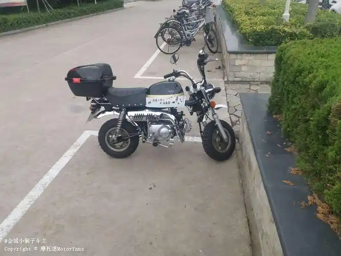 金城金童小猴子牙盘改装