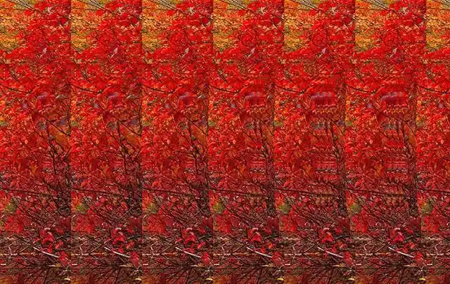 裸眼3d教学篇:教会你如何秒看三维立体图