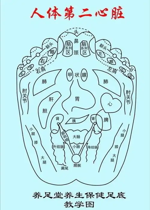 养足堂足疗示意图图片