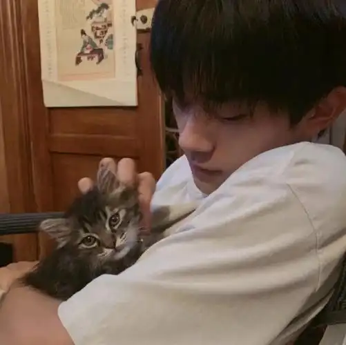 易烊千玺头像    稳居老公榜首