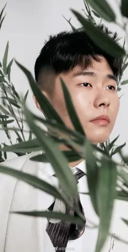 周九良 - 堆糖,美图壁纸兴趣社区