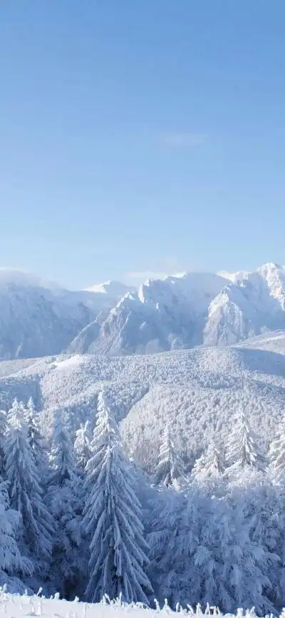 蓝色三角形 - 堆糖,美图壁纸兴趣社区