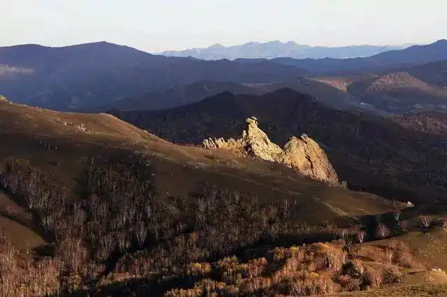 光影左旗乌兰坝林场科尔沁沙地的天然屏障