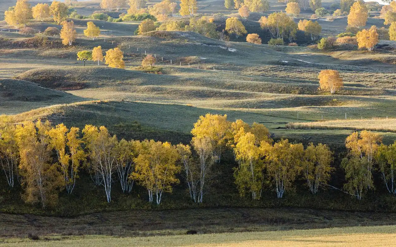 坝上草原清新自然风景桌面壁纸高清大图预览1920x1200_风景壁纸下载