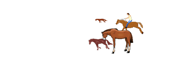 素材组合应用式样(欢迎朋友光临指导)地址永不失效根据swf格式抠图