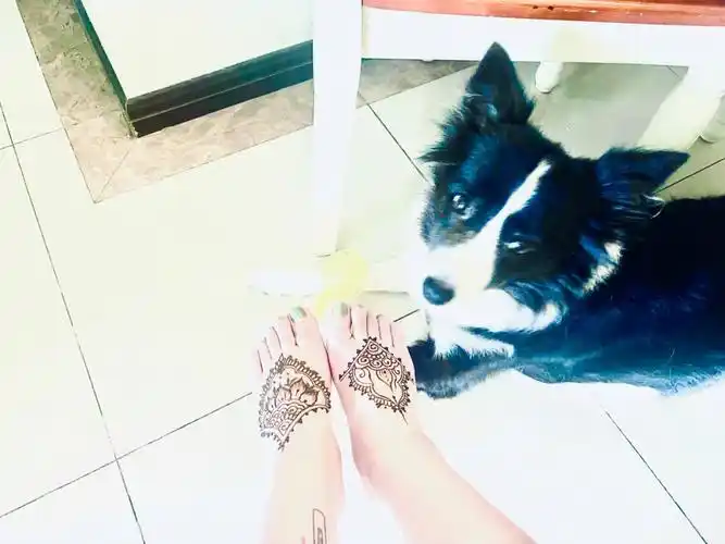 冥想随意画脚背海娜手绘纹身