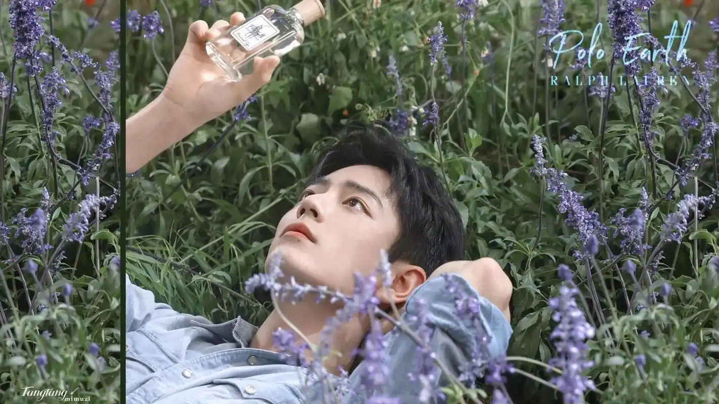 肖战电脑壁纸|夏日香气