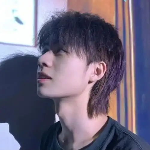 狼尾男发是一种十分飒爽的男士发型, 头顶剪碎,后脖位置的头发留长打