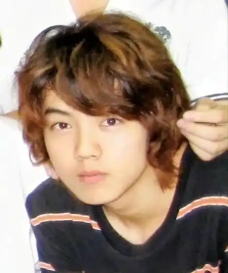 exo当时的人气爆棚,堪称娱乐圈流量巨星的巅峰之作,无人能及.