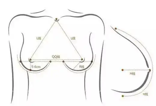 高清无码和男朋友滚床单后他说他还是忘不了前女友的d罩杯