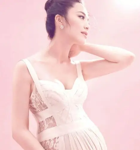 贵圈20位女星怀孕写真,李小璐性感,杨幂没变化,刘涛沉稳