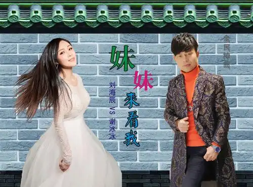 华语歌手刘海辰 谢冰冰2019打造全民舞曲《妹妹来看我》震撼来袭!