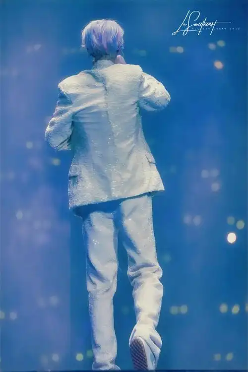 鹿晗演唱会背影图##鹿晗三巡