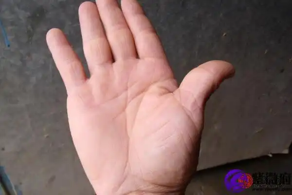 手相中没有命运线代表什么