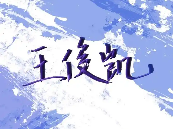 王俊凯可以留下名字和应援色