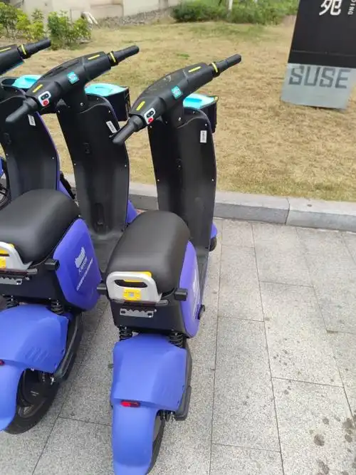 轻化工大学也有共享电动车了